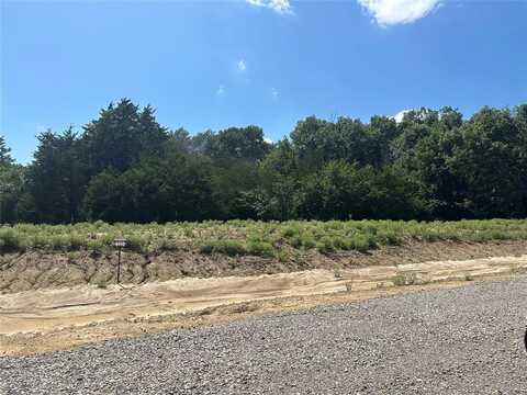 Lot 10 County Road 1110, Farmersville, TX 75442
