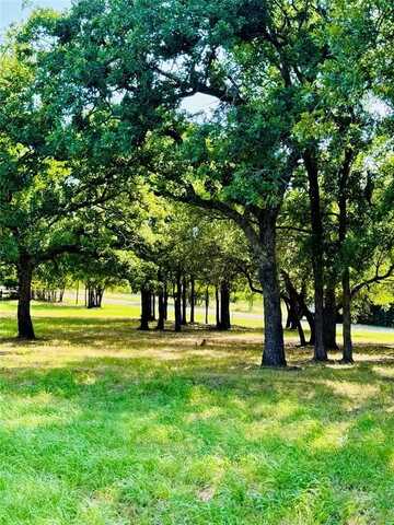 14004 Sandy Oaks Drive, Whitney, TX 76692