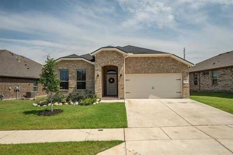 171 Tanager Drive, Rhome, TX 76078