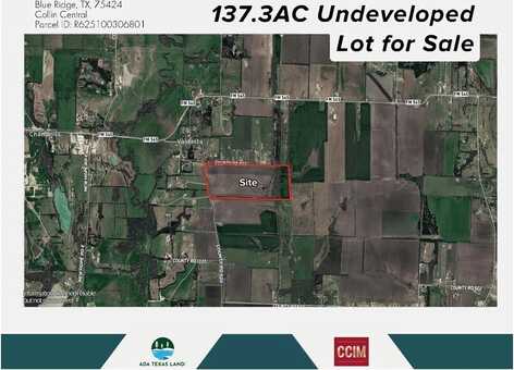 Tbd 137.3ac County Road 832, Blue Ridge, TX 75424