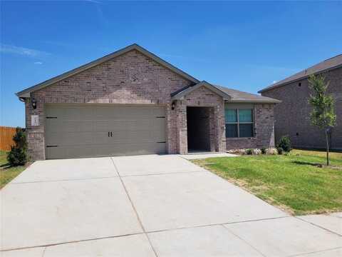 223 Drifter Drive, Newark, TX 76071