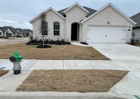 301 Tartane Drive, Anna, TX 75409
