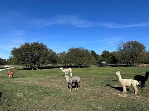 4081 FM 2736, Campbell, TX 75422