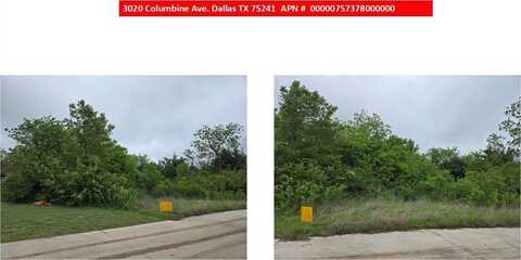 3020 Columbine Avenue, Dallas, TX 75241
