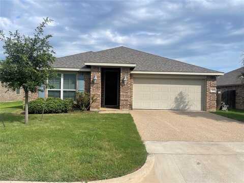 3105 Paint Horse Drive, Waco, TX 76706