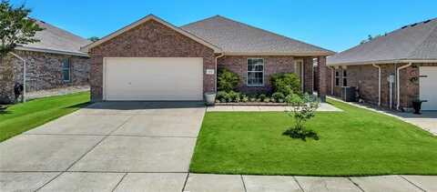 552 Lincoln Avenue, Lavon, TX 75166