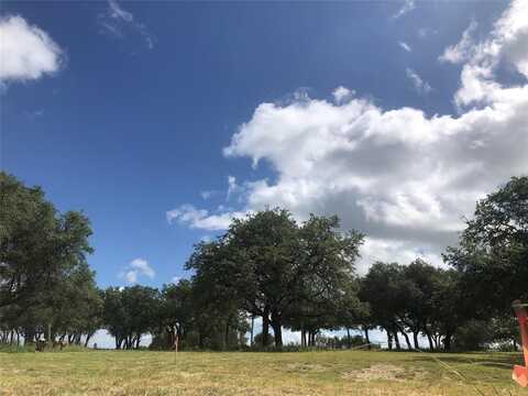 1906 Coleman Ranch Road, Tolar, TX 76476