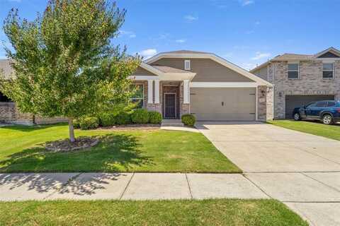 313 Bankhurst Drive, Anna, TX 75409