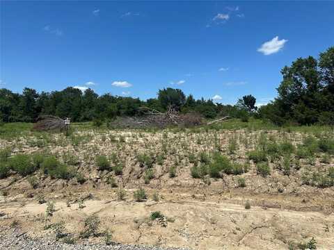 Lot 14 County Road 1110, Farmersville, TX 75442