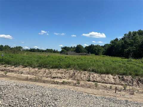 Lot 4 County Road 1110, Farmersville, TX 75442