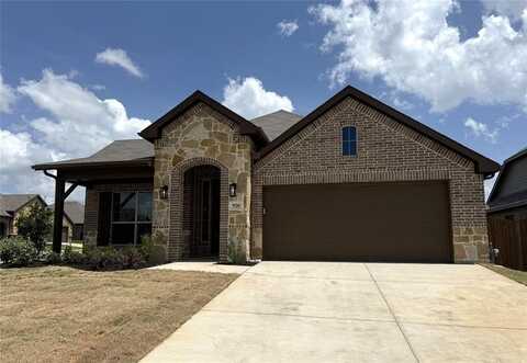 920 Eloise Lane, Cleburne, TX 76033