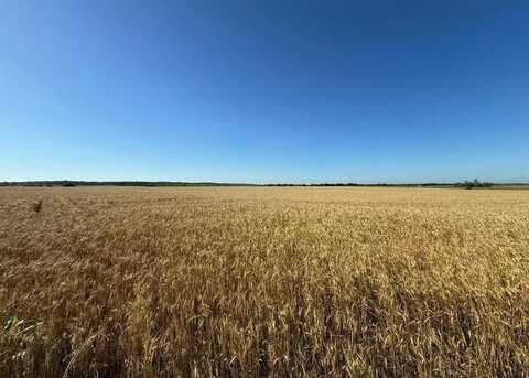 Tbd HCR 1153, Blum, TX 76627