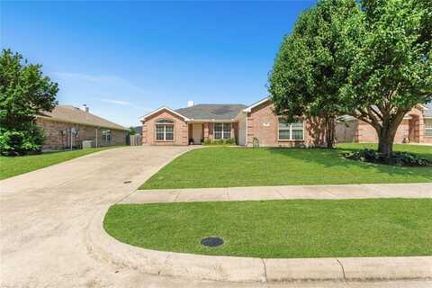 203 N Bending Oak Lane, Wylie, TX 75098