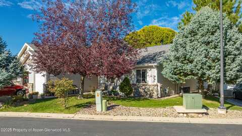 19 ANGELICA Circle, Parachute, CO 81635