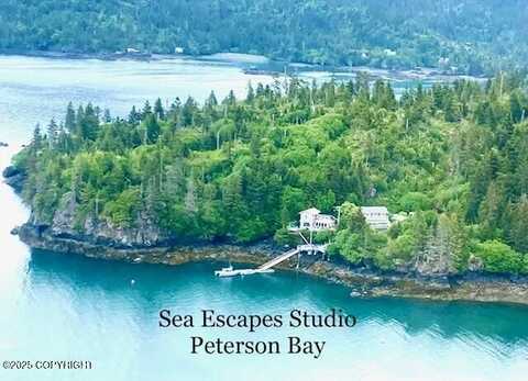 54066 Peterson Bay Remote SW, Homer, AK 99603