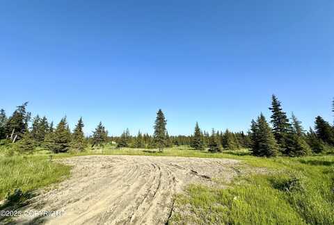 32800 Shorebird Lane, Anchor Point, AK 99556
