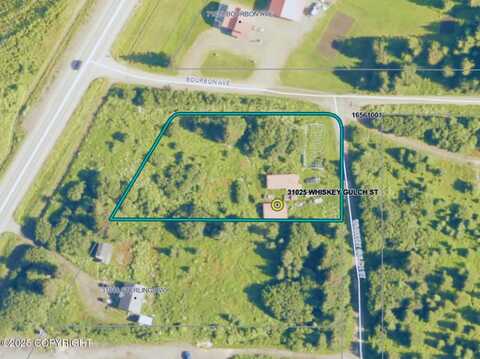 31025 Whiskey Gulch Street, Anchor Point, AK 99556