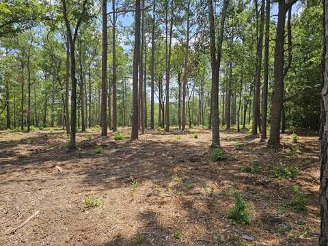 Lot 4 Snipes Road, Aiken, SC 29801