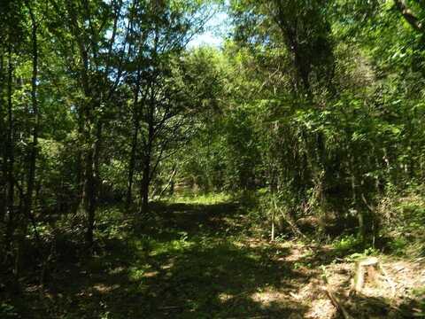 13184 Cove Creek RD, Prairie Grove, AR 72753