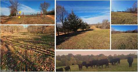 9.69 Acre Low Gap Road, Noel, MO 64854