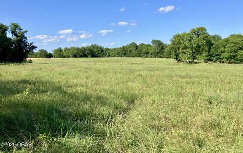 Xxx Jute Road, Seneca, MO 64865