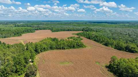 0 Chesser Road, Vernon, FL 32462