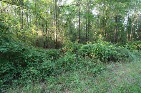 0 Kings Mill Road Tract C, Wrens, GA 30833