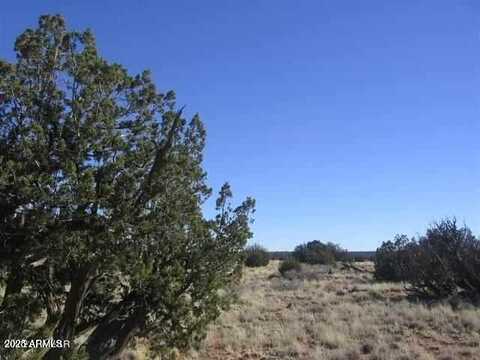 Sec 31 T15N,R16E:Nw4 Se4 --, Heber, AZ 85928