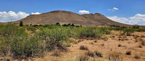 Lot 6 Kansas Settlement Road, Pearce, AZ 85625