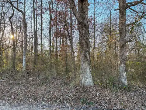 1 State Hwy AA, Naylor, MO 63953