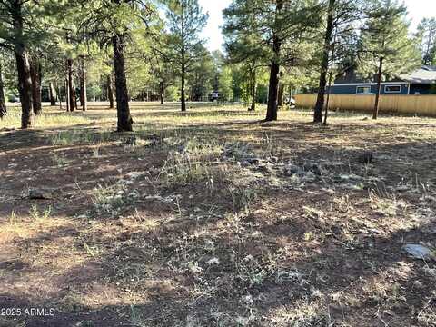 5151 SADDLE STRAP Way, Pinetop, AZ 85935