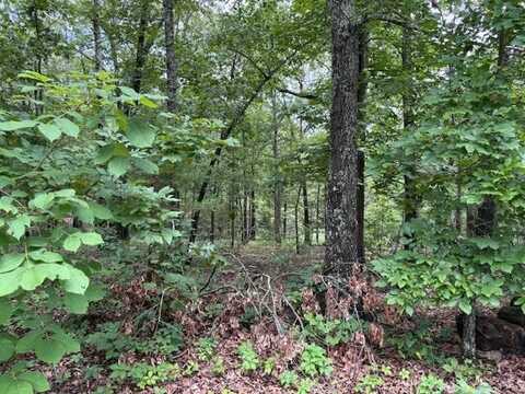 000 Shady Lane, Highland, AR 72542