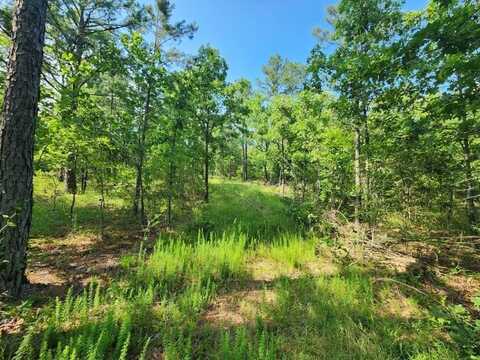 4 TBD LeFlore Oklahoma, Wister, OK 74966