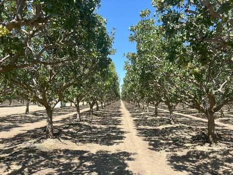 28000 W. Jayne Ave, Coalinga, CA 93210