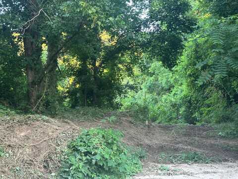 0 Highway 49, Bradfordsville, KY 40009