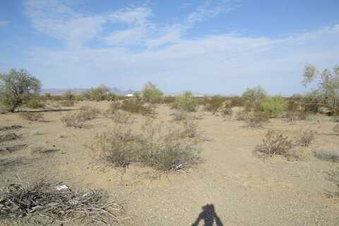 111 N Mc Vay rd, Bouse, AZ 85325