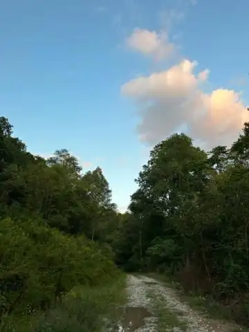 000 Contrary Road, Louisa, KY 41230