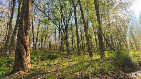 0 State Route 772, Waverly, OH 45612