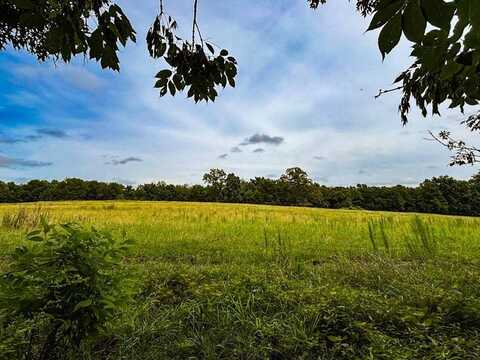 496 County Road 496, Lexington, AL 35648