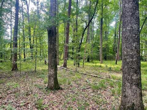 Lot 23 Stonebridge, Grenada, MS 38901