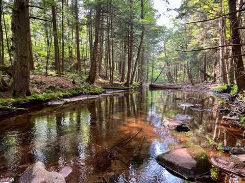 WP0 Benton Hollow Rd., Livingston Manor, NY 12758