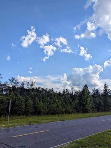 0 IG Lanier Rd, Pembroke, GA 31321