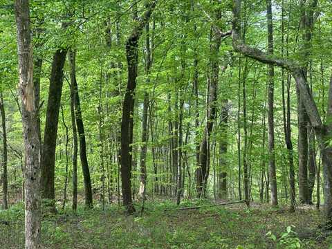 0 Oak Dr./Brady Dr., Albany, KY 42602