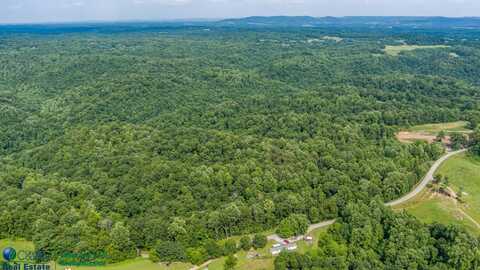 Tract #16 Willis Creek, Albany, KY 42602
