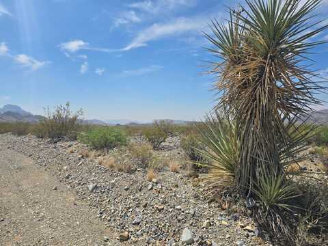 4701 Gate 4 Rd, Terlingua, TX 79852