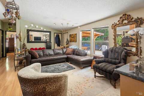 65001 Drive Thru Tree Road, Leggett, CA 95585
