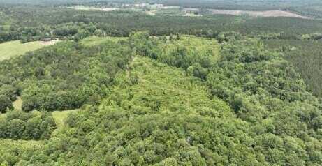 0 Lindsey Rd., Eclectic, AL 36024