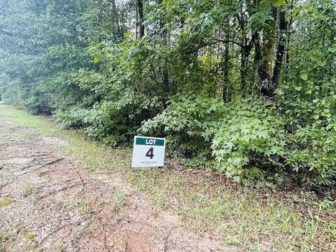 0 Kings Mill Road Tract D, Wrens, GA 30833