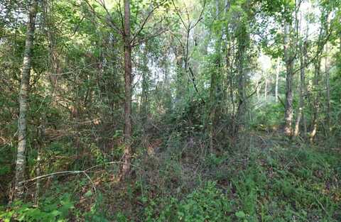0 Kings Mill Road Tract F, Wrens, GA 30833