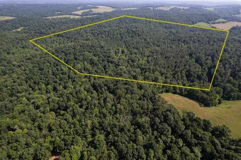 0 Dan Station Road, Olaton, KY 42361